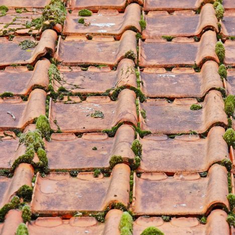 Transformez votre maison avec des stores et volets roulants modernes