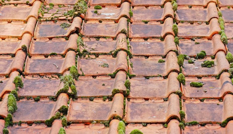 Démoussage de toiture à Muret : pourquoi passer par un pro ?