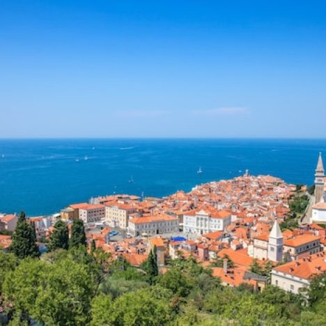 Créer l’ambiance parfaite avec un store sur mesure