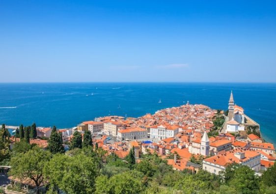 Quand la Croatie rivalise avec les plus belles destinations méditerranéennes pour les voyageurs belges